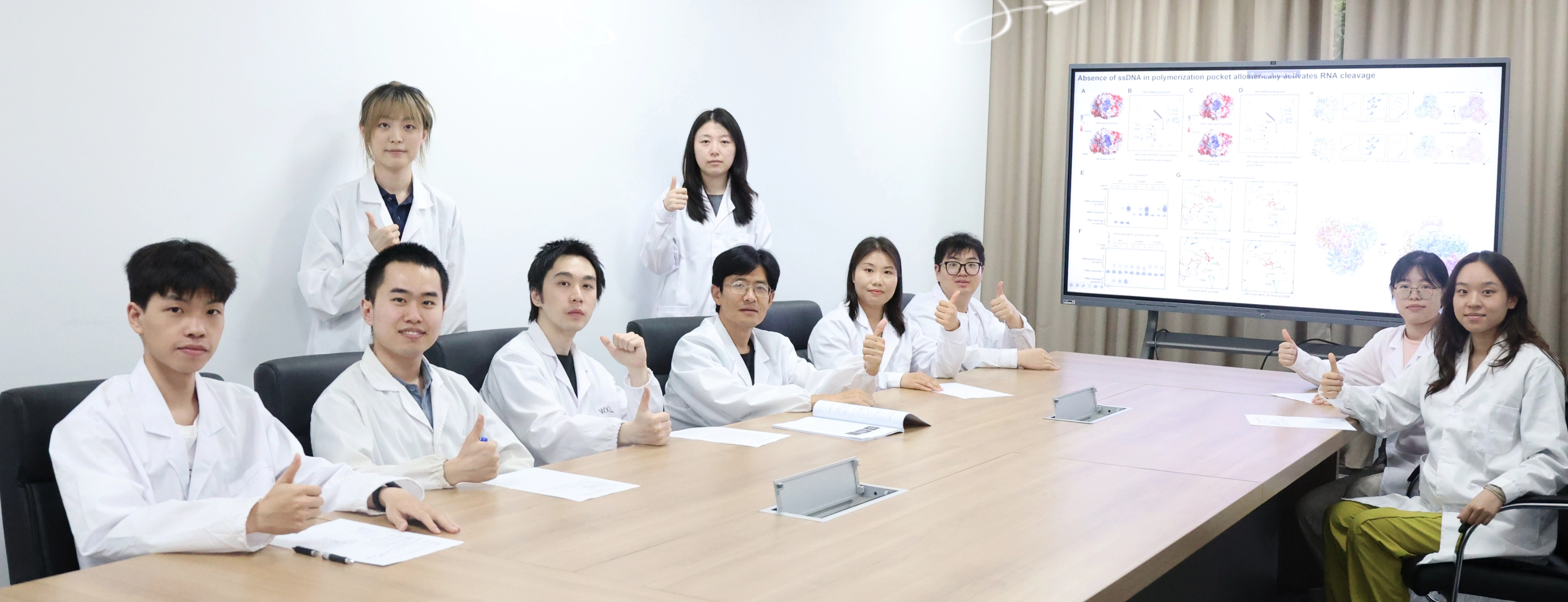 Science First Release：sbo利记朱斌教授团队成果登上《科学》